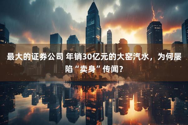 最大的证券公司 年销30亿元的大窑汽水，为何屡陷“卖身”传闻？