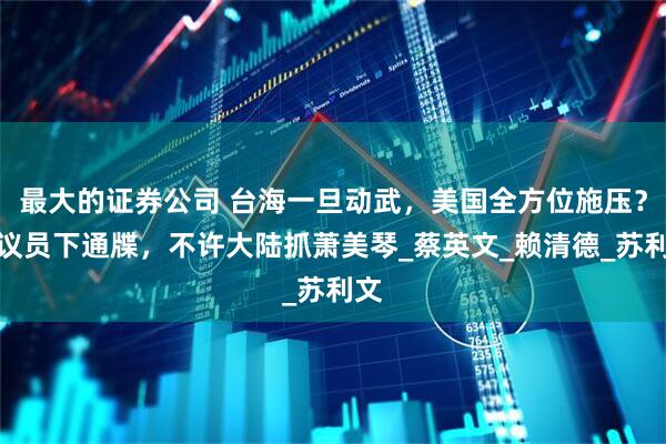 最大的证券公司 台海一旦动武，美国全方位施压？美议员下通牒，不许大陆抓萧美琴_蔡英文_赖清德_苏利文